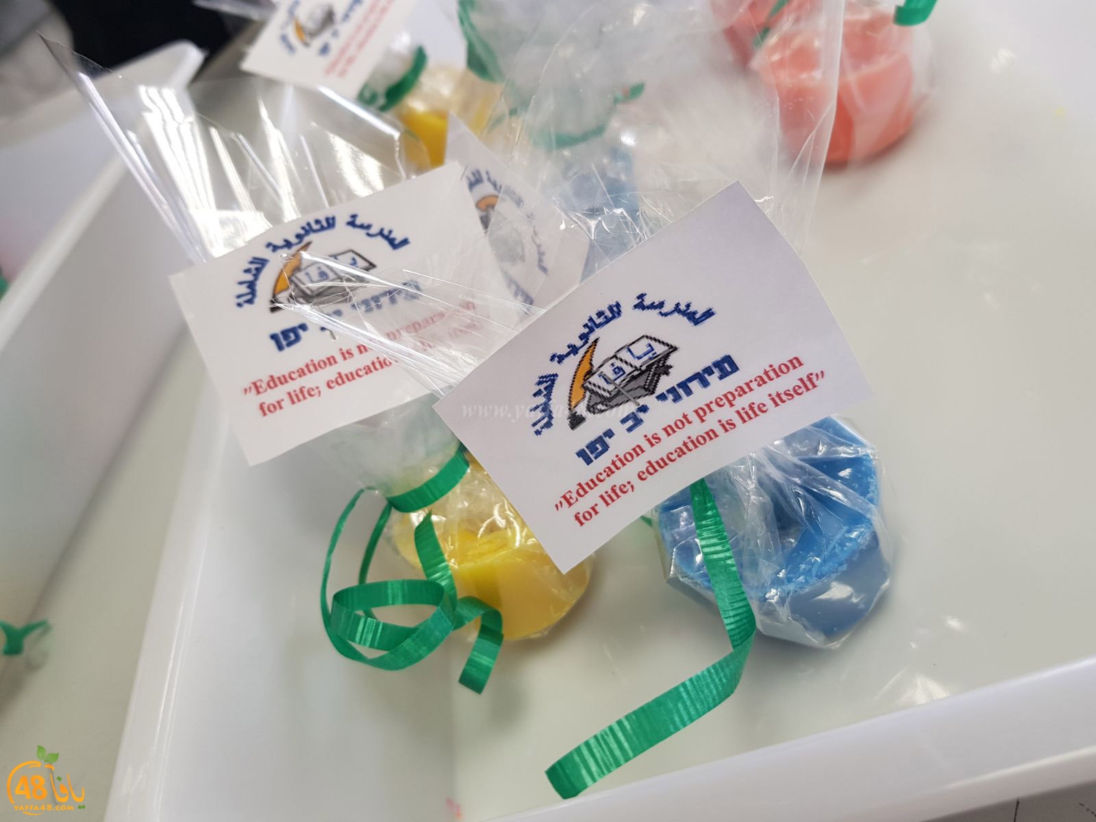 shamelahhqej (34).jpg